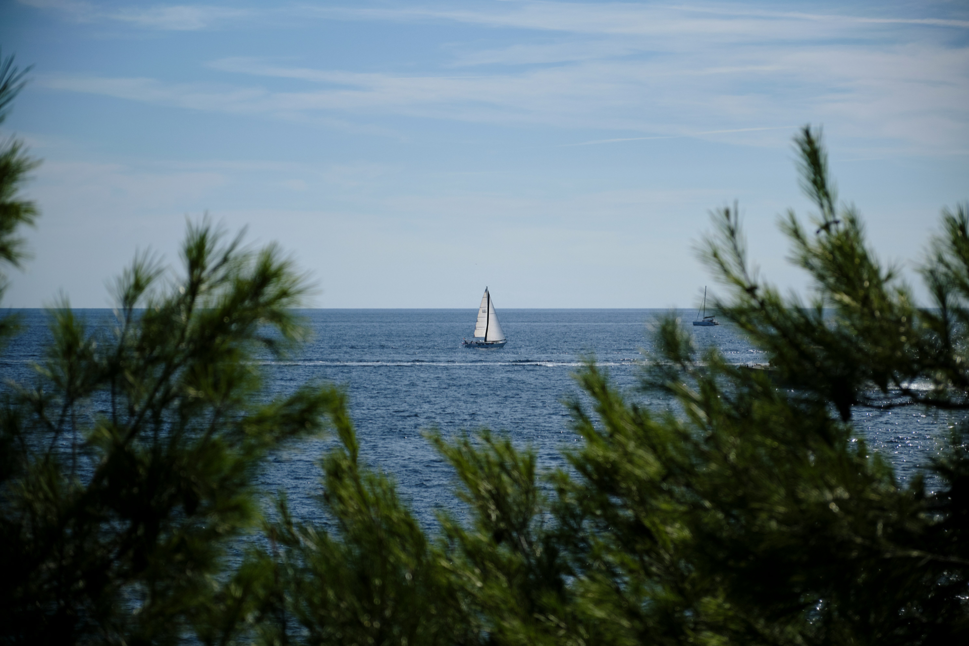 Umag