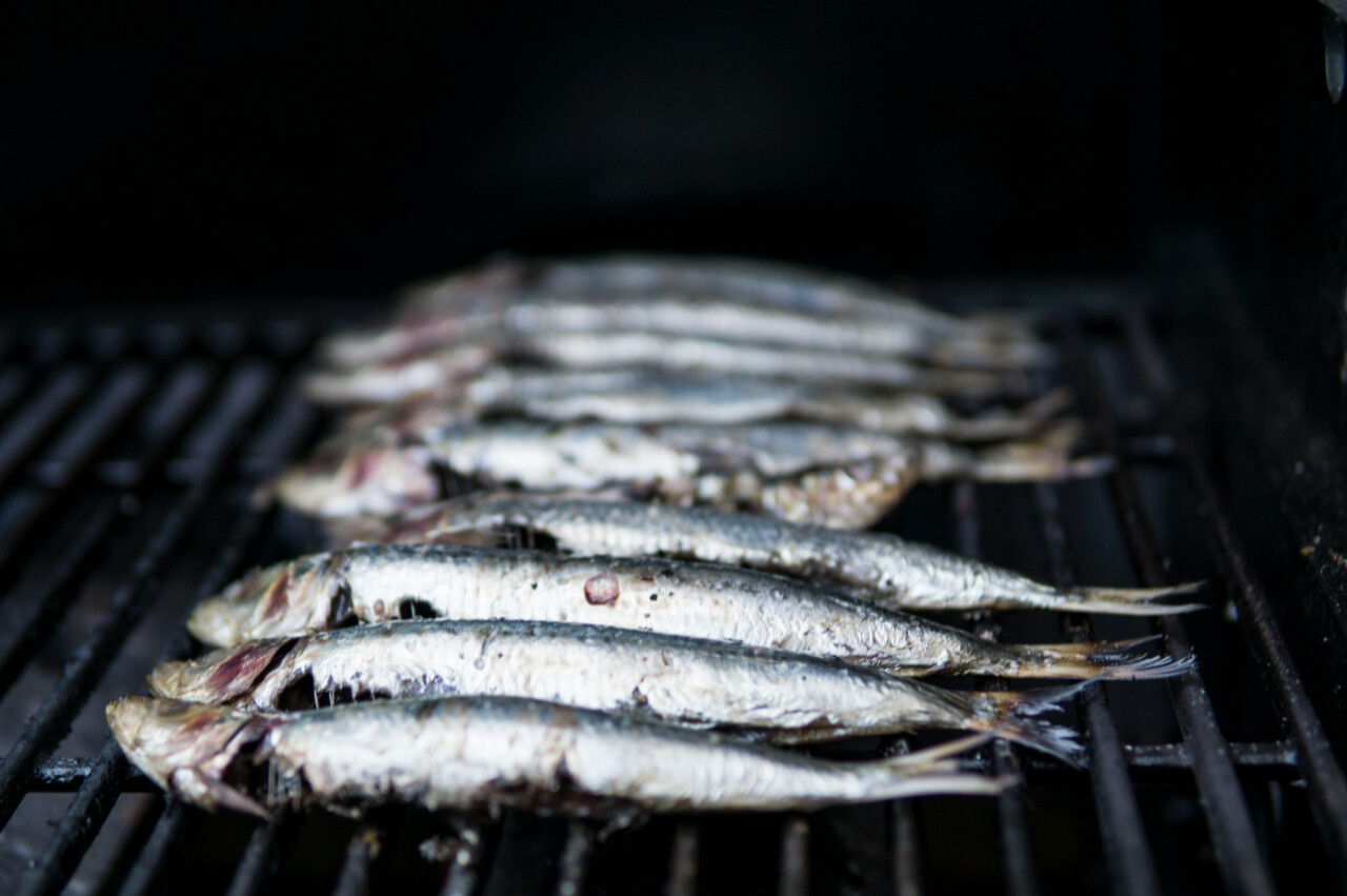 Freshly caught fish grilled to perfection