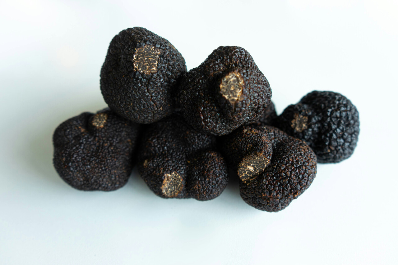 Truffles from Istria are considered delicacy