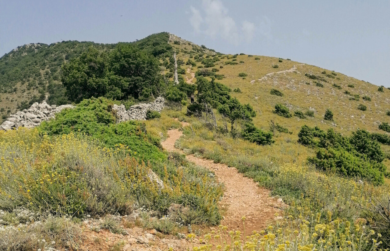 Wanderweg auf Cres, Kroatien.