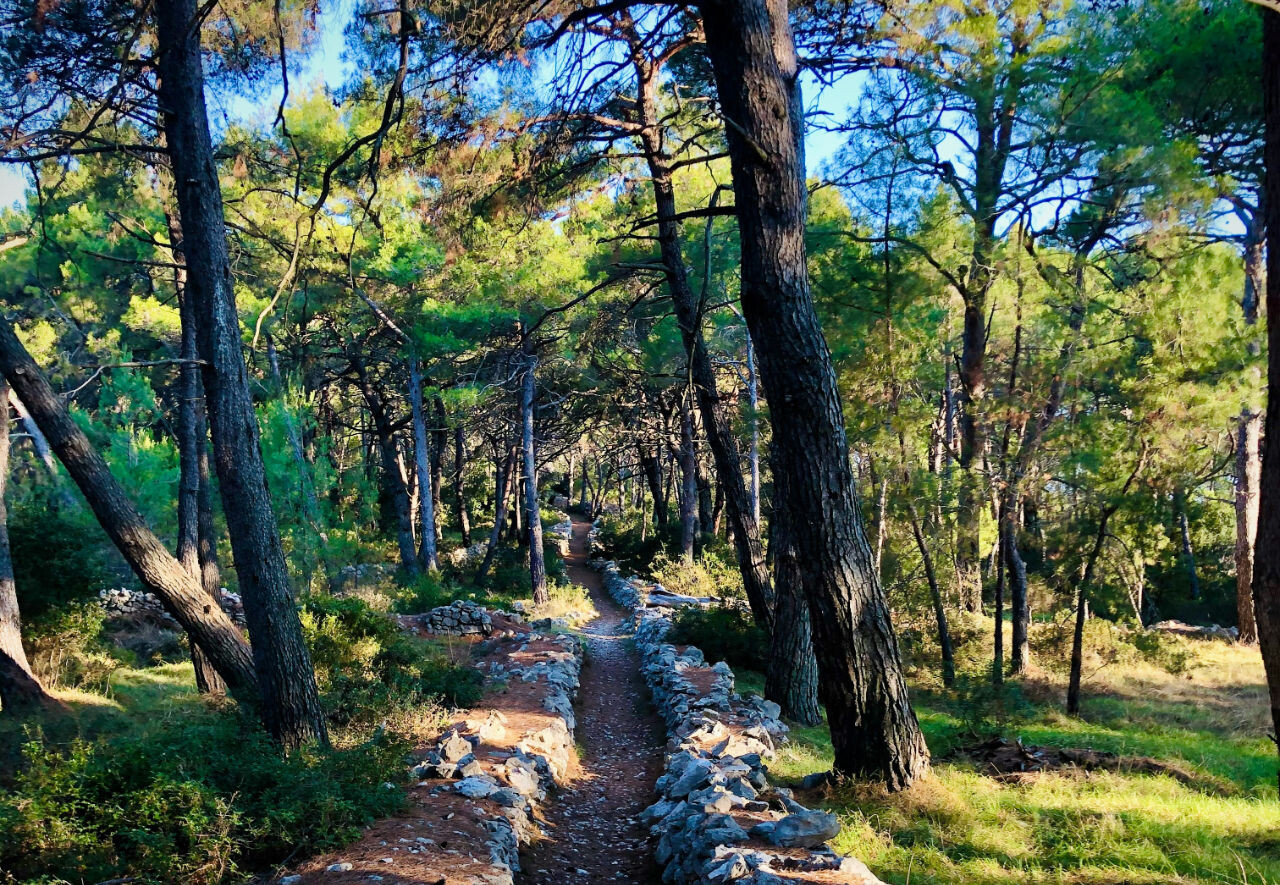 The perfect sunrise on the Island of Losinj, Croatia