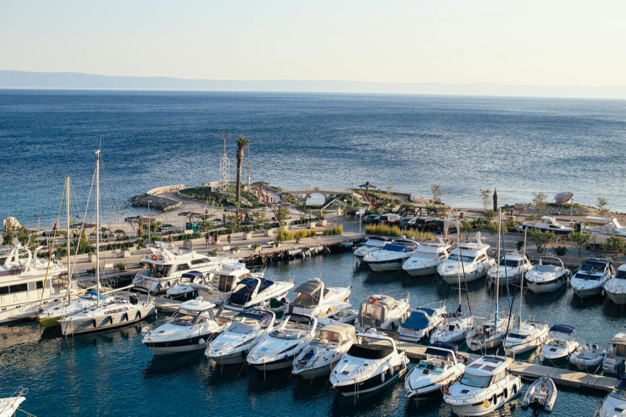 Split port