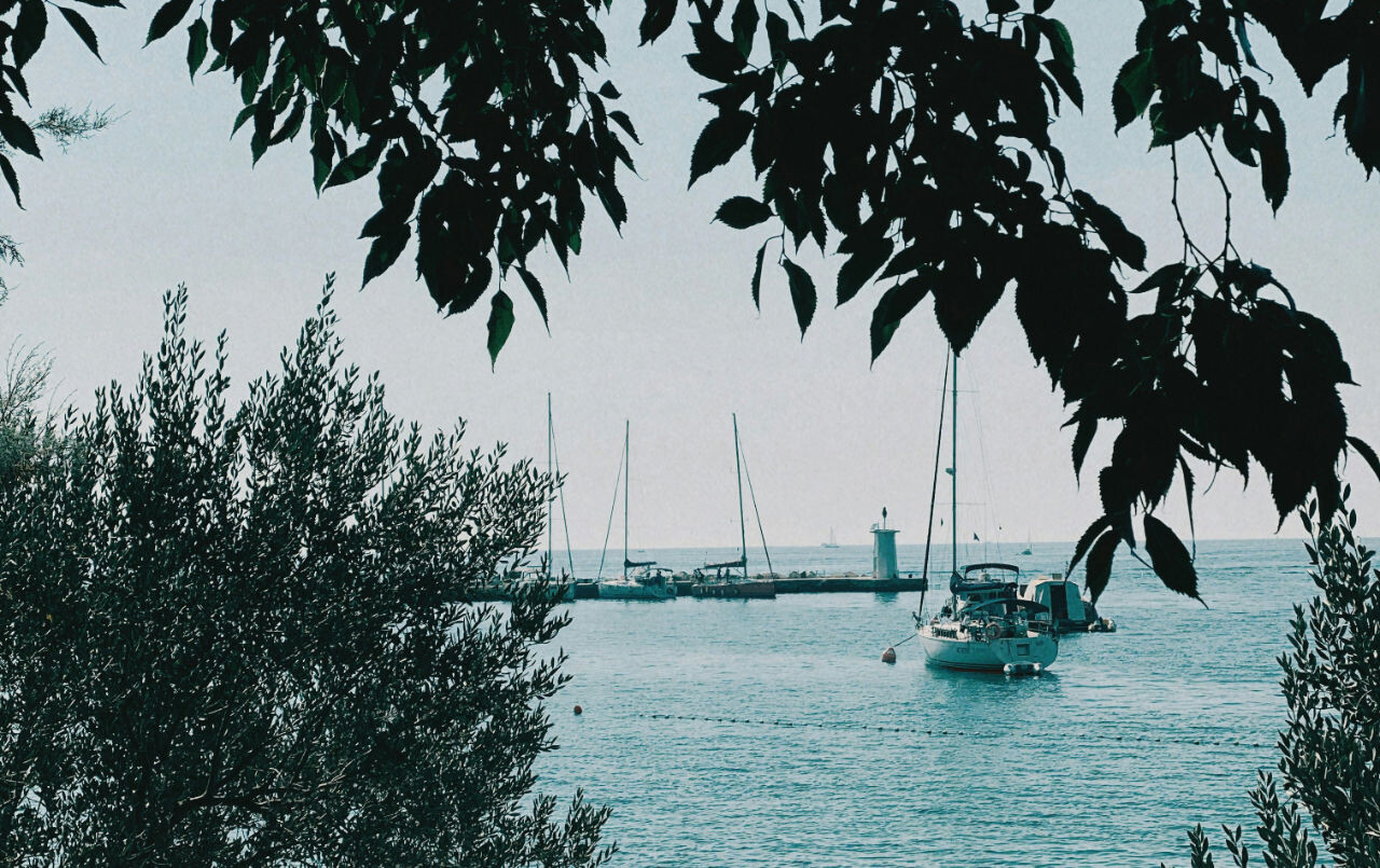 Sailing boat approaching marina in Novigrad, Istria