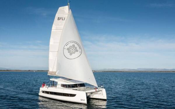 Bali Catsmart Northcat 38