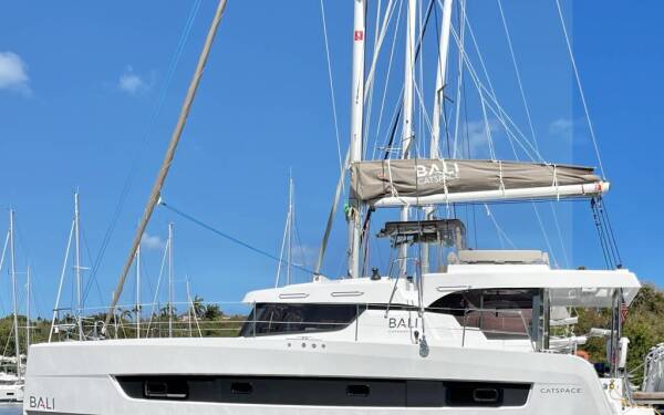 Bali Catspace Pinnacle Cat