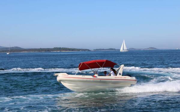 Barracuda 590 Barracuda 590 - 11