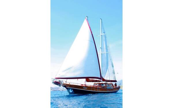 Il Fratello Il Fratello