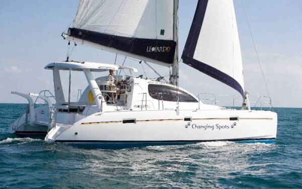 Leopard 40 Panda Joy