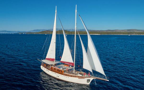 M/S Morning Star Morning Star